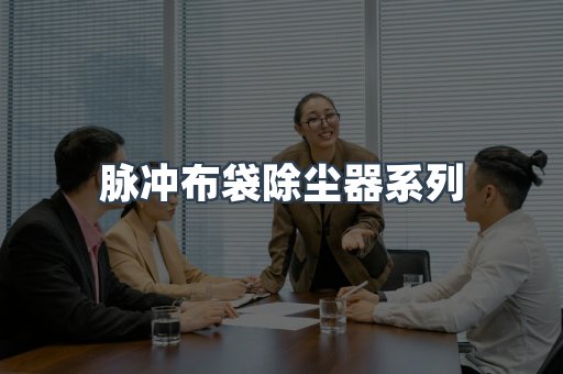 脉冲布袋除尘器系列